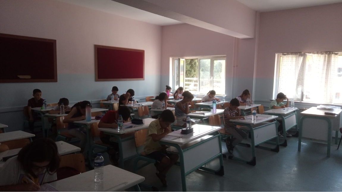 5. Sınıf Yabancı Dil Ağırlıklı (Proje Sınıfı) seviye tespit sınavı